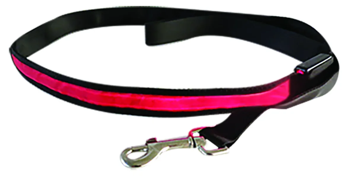 PERRO CORREA LED 2,5 y 120 cm "X"